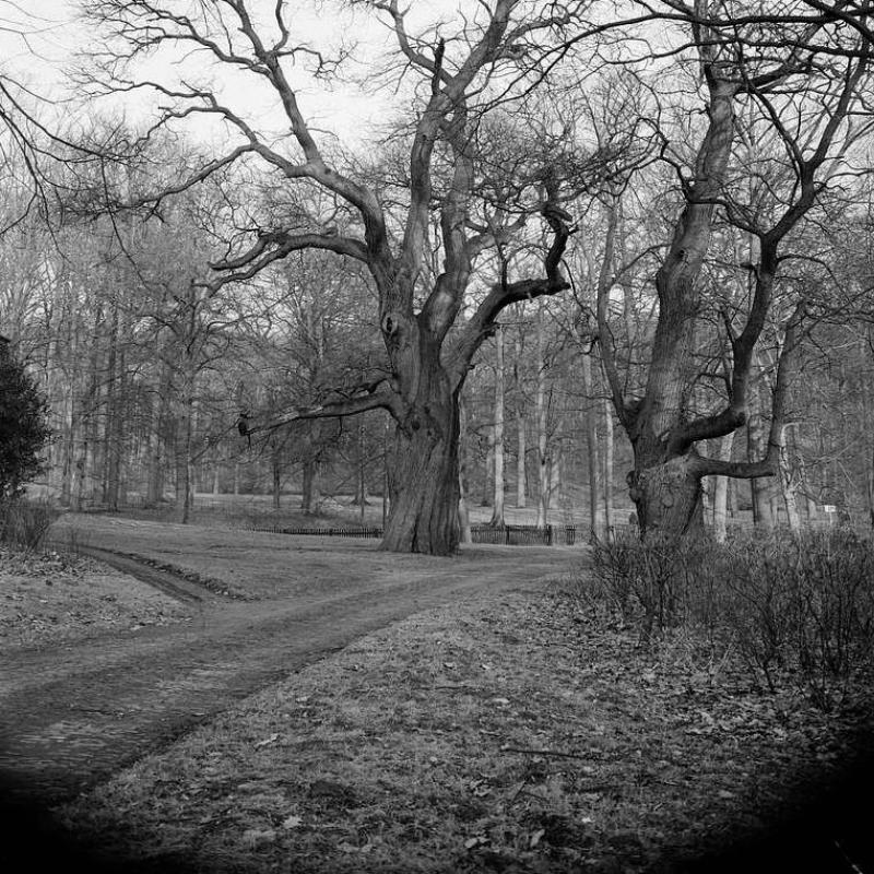 De poortwachters van Gulden Bodem: