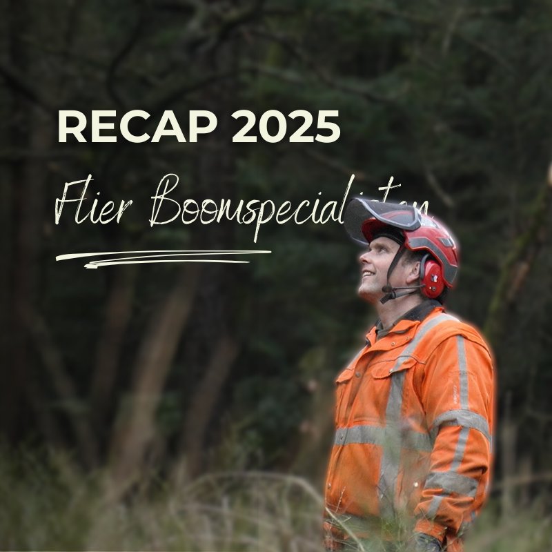 Terugblik en openingstijden rond Kerst: