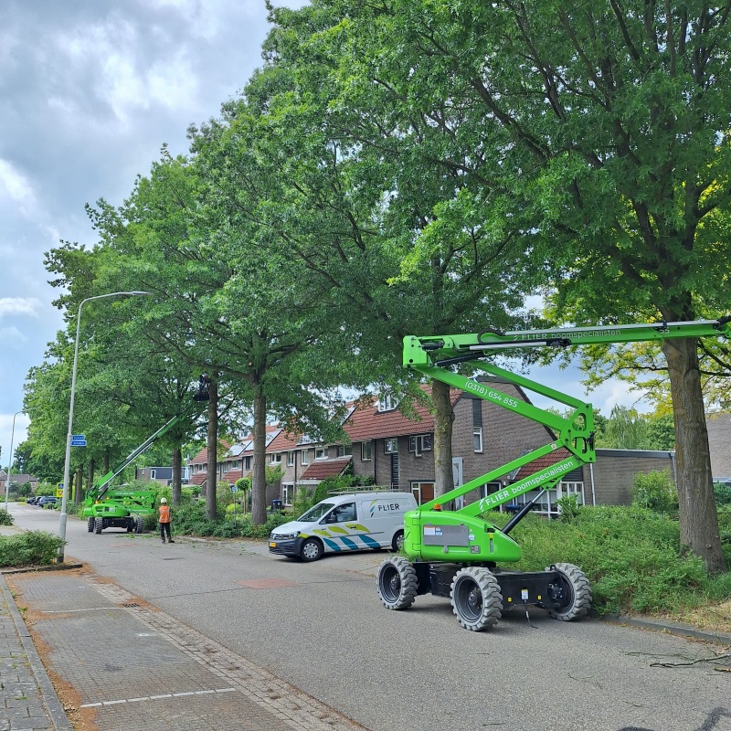 Snoeien gemeente Heumen