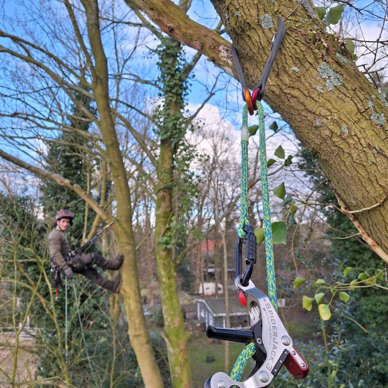 Kroonverankering controleren