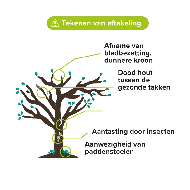 Kansen van de laatste levensfase