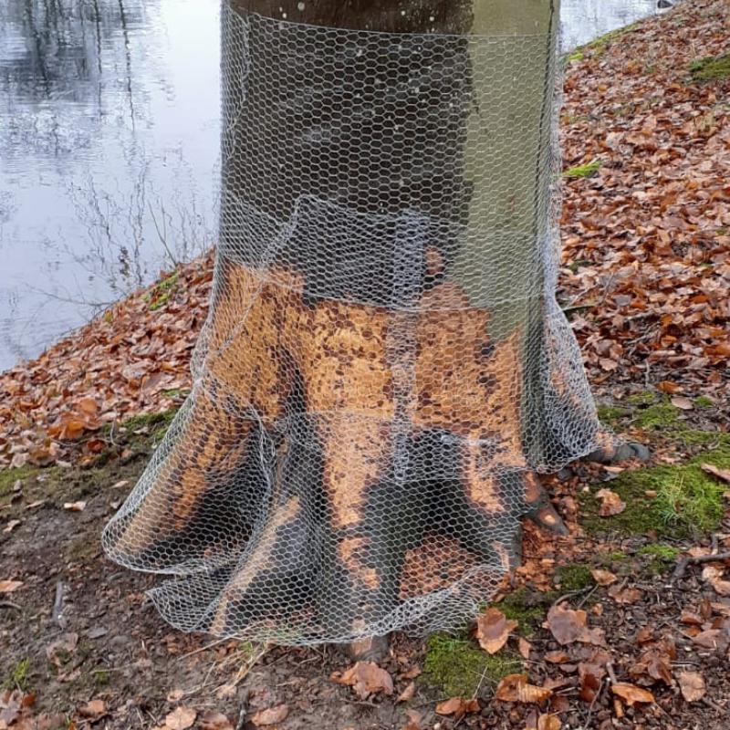 Hulp nodig bij boomonderhoud op uw landgoed?