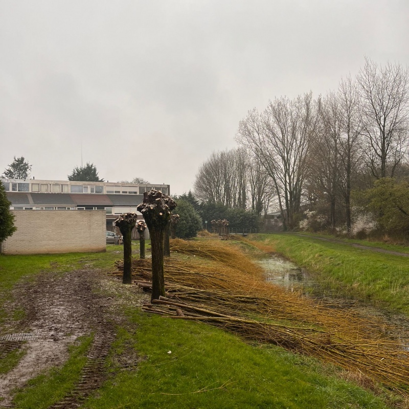 Na het knotten