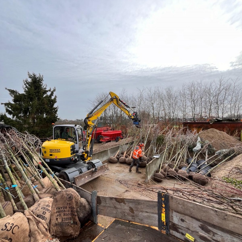 Afleverlijsten controleren en bomen inladen