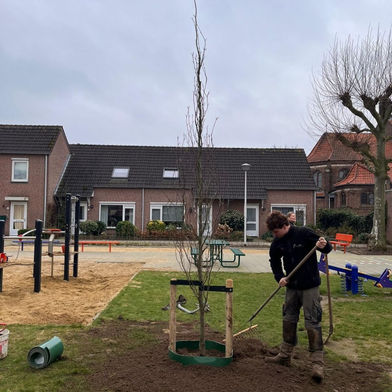 Boom planten in de speeltuin voor meer schaduw