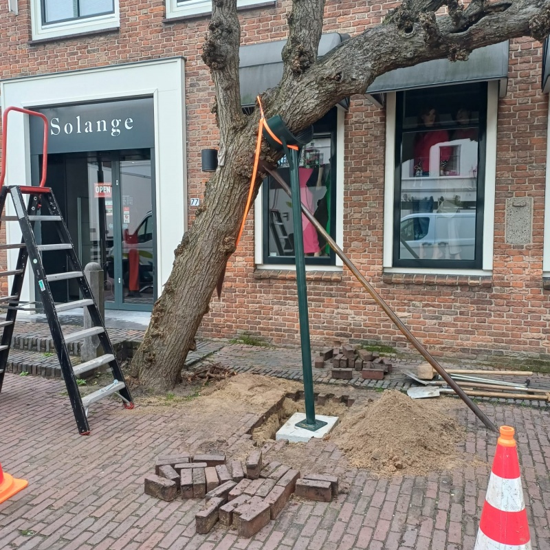Nieuwe stutten voor lindebomen in IJsselstein door Flier Boomspecialisten