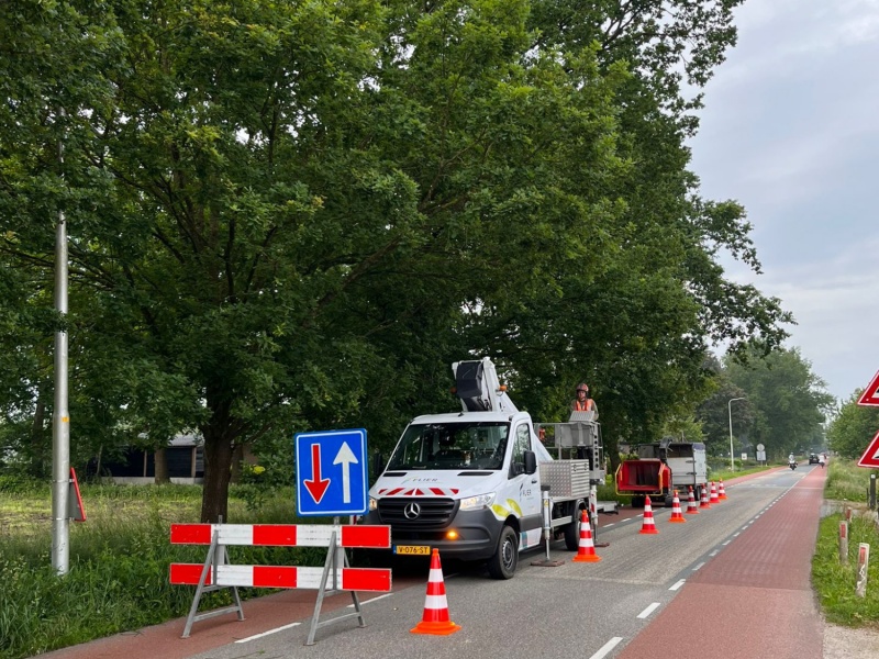 Wageningen boomonderhoud 2024-2028