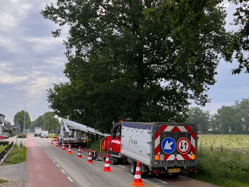 Lingewaard boomonderhoud 2024-2029