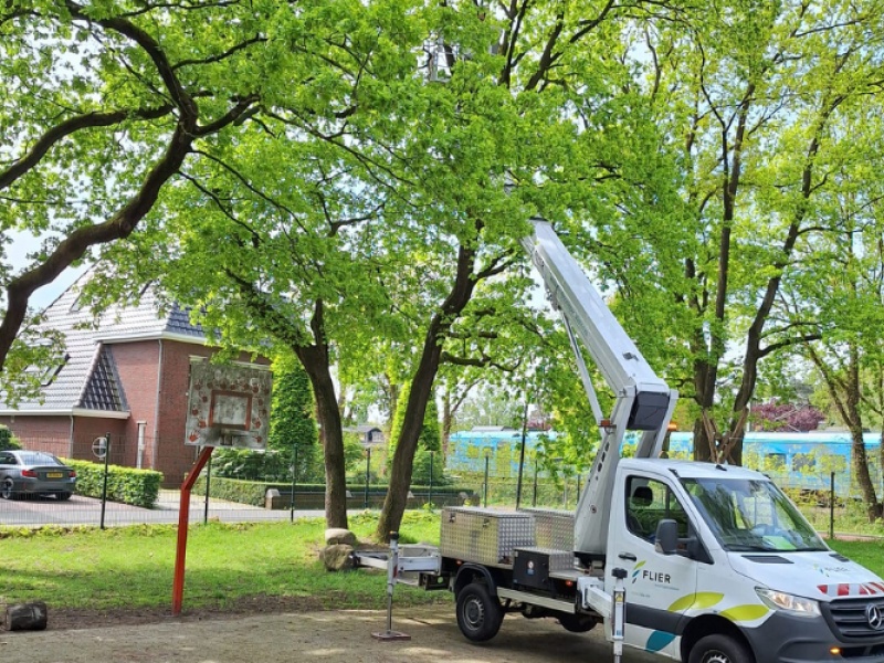 Nunspeet boomonderhoud 2025-2033