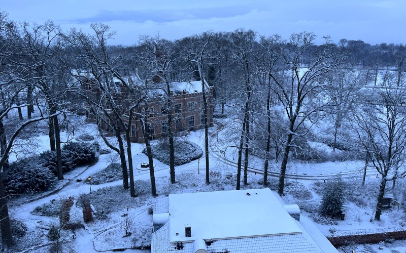 Mag je snoeien in de winter?