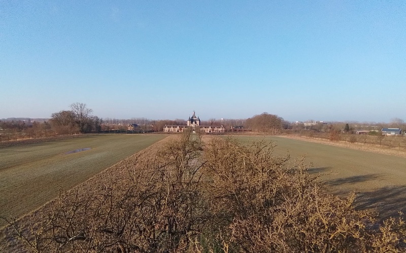 Geldersche bomen - Heemstede