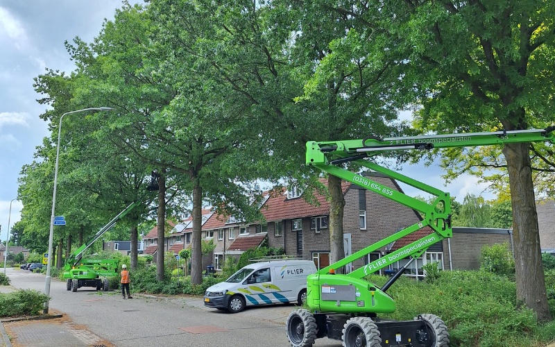 Duurzamer werken in de boomverzorging
